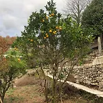 Quinta Do Souto