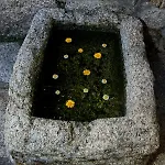 Quinta Do Souto * Barciademera