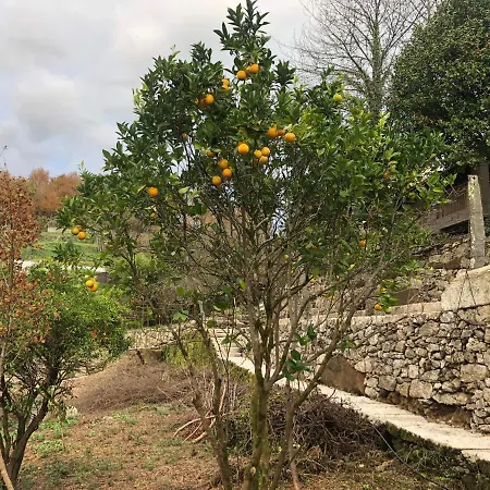 Quinta Do Souto