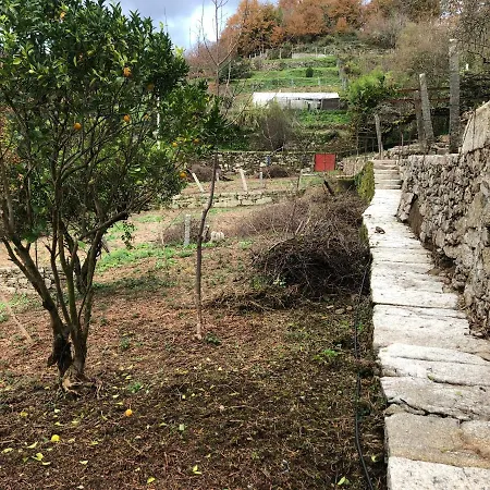 Quinta Do Souto *