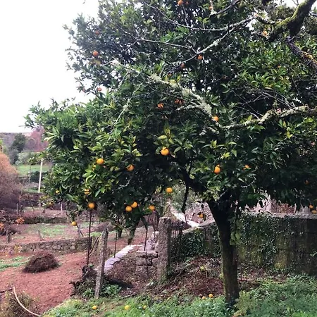 Quinta Do Souto * Barciademera