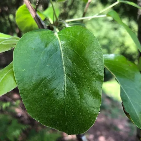 Quinta Do Souto 度假居