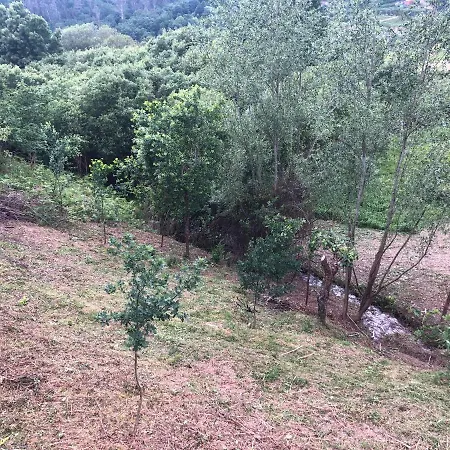 Сasa de vacaciones Quinta Do Souto *