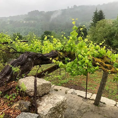 Quinta Do Souto Сasa de vacaciones *
