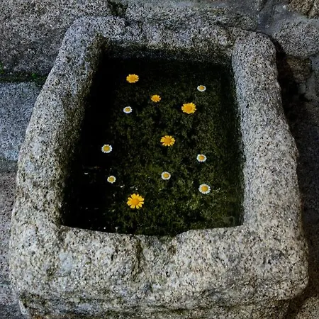 Quinta Do Souto * Barciademera