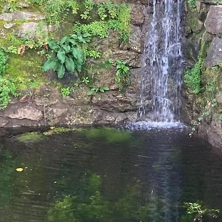 Quinta Do Souto Casa vacanze *