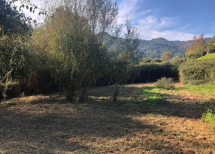 Quinta Do Souto Barciademera