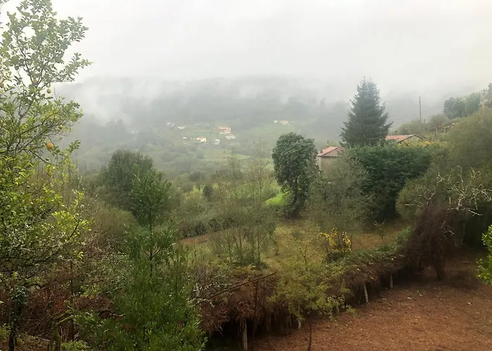 Quinta Do Souto * Barciademera