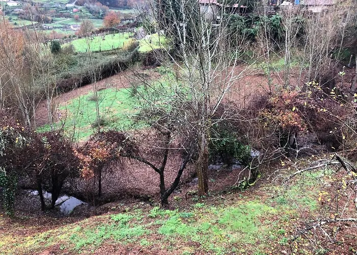 Quinta Do Souto * Barciademera
