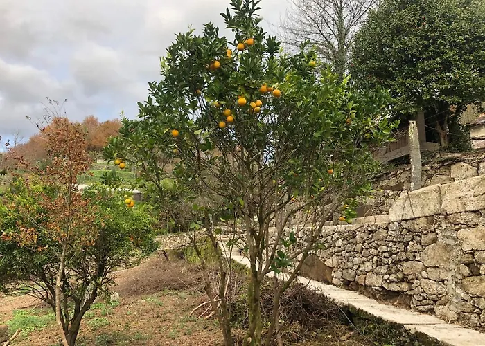 Quinta Do Souto
