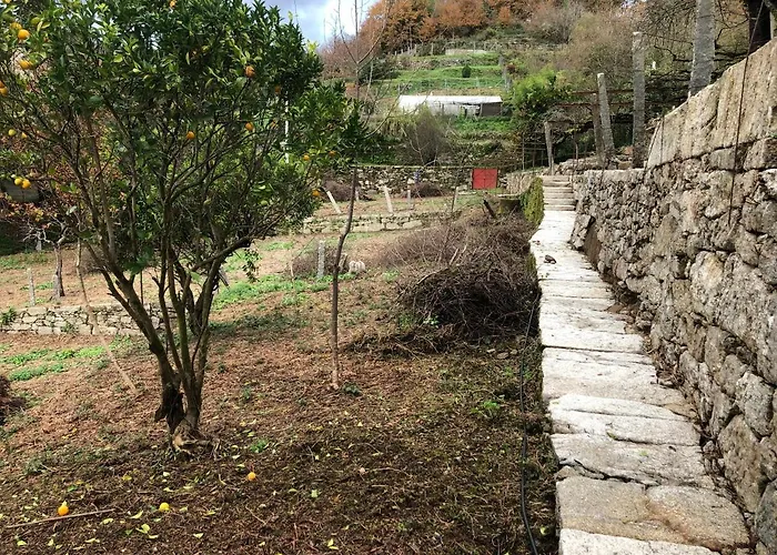 Quinta Do Souto *