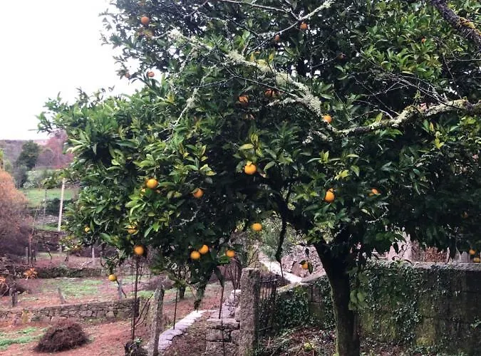 Quinta Do Souto * Barciademera