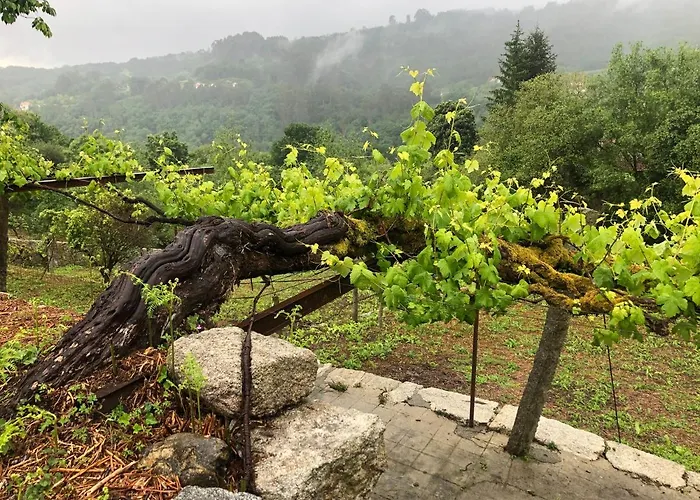 Quinta Do Souto Ferienhaus *