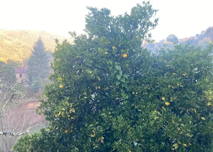 Quinta Do Souto Ferienhaus *